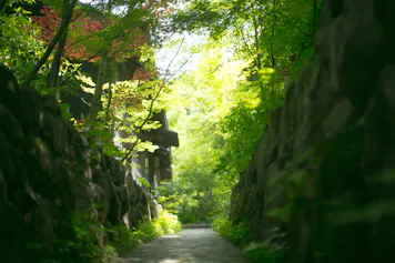 全室「離れ」の宿！プライベートを大切にしたいカップルやお子様連れにもおすすめの