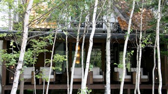 まるで童話の世界。白樺の高原に佇む静寂に包まれた洋館
