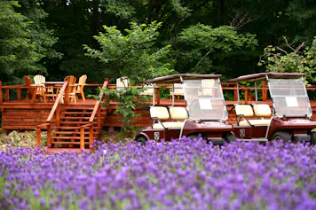 夏の北海道へ！絶景と美食が堪能できるおすすめ宿 5選