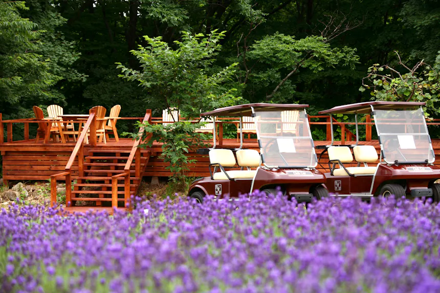 夏の北海道へ！絶景と美食が堪能できるおすすめ宿 5選