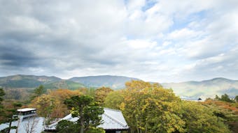 全室露天風呂付。2種類の掛け流しの湯が愉しめる宿