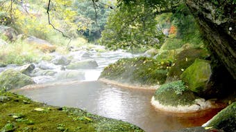 ハイセンスでありながら秘湯気分が味わえる宿