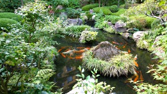日本最古の温泉地を代表する大人の料亭旅館