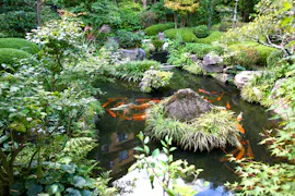 日本最古の温泉地を代表する大人の料亭旅館