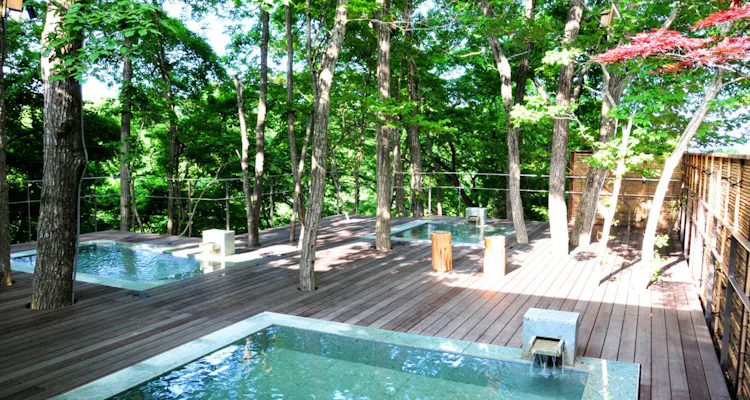 竹泉荘 CHIKUSENSO ONSEN
