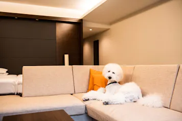 ペットと一緒に泊まれる高級温泉宿 6選