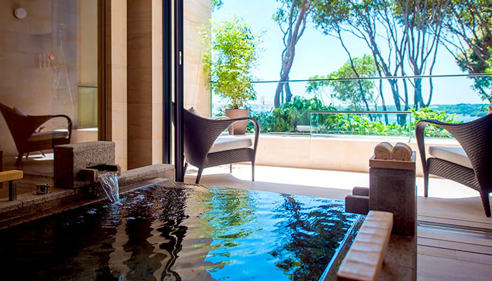 2313_01