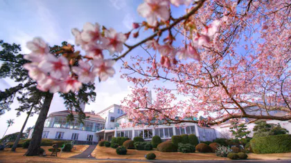 春の風物詩、桜を愛でる宿【東日本編】