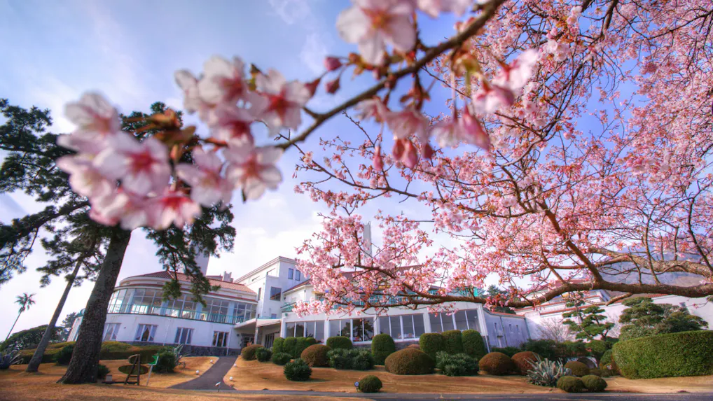 春の風物詩、桜を愛でる宿【東日本編】