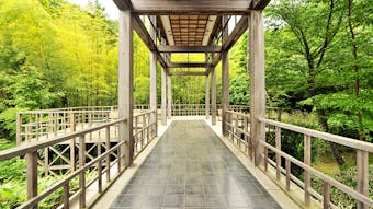 家族水入らずで素敵なひとときを送れる お子様にも優しいラグジュアリー宿5選