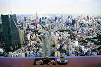 【滞在記】東京タワーにスカイツリー！東京のランドマークを一望
