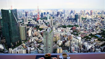 【滞在記】東京タワーにスカイツリー!東京のランドマークを一望