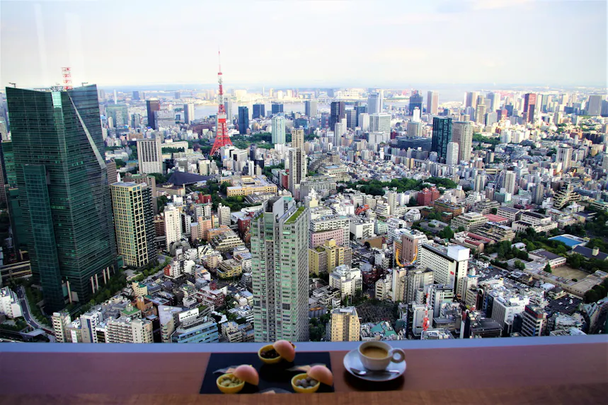 【滞在記】東京タワーにスカイツリー！東京のランドマークを一望