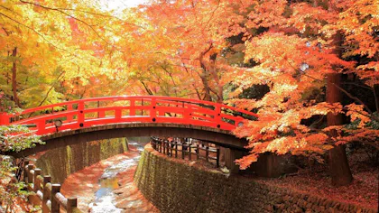 秋の絶景 紅葉を京都で愉しむおすすめホテル5選