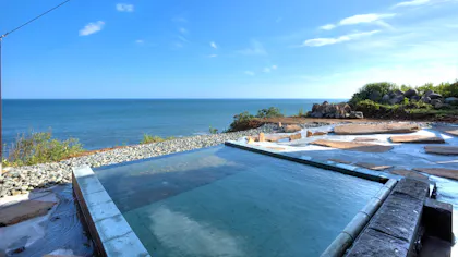 雄大な太平洋をただ眺める もうひとつの故郷