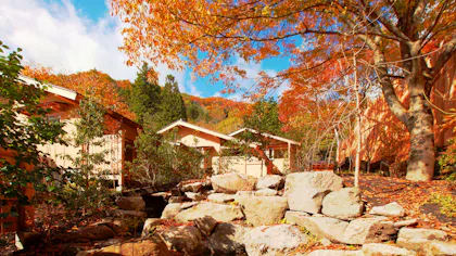 秋の風物詩 紅葉が見える宿特集