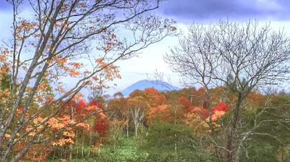 秋の北海道を楽しむ宿5選