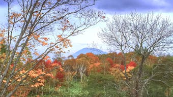 秋の北海道を楽しむ宿6選