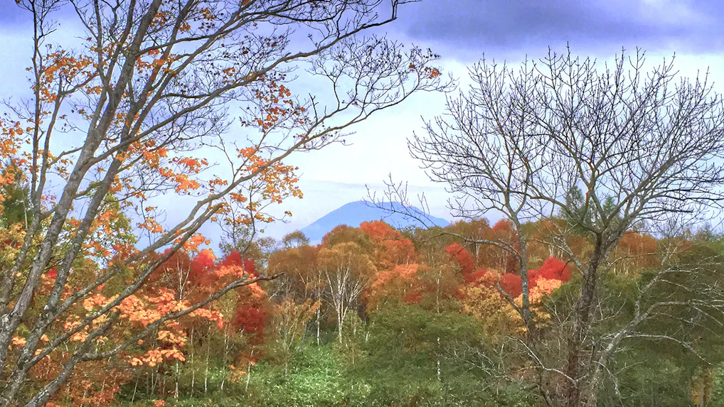 秋の北海道を楽しむ宿5選