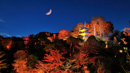 関東の紅葉が見える宿　5選