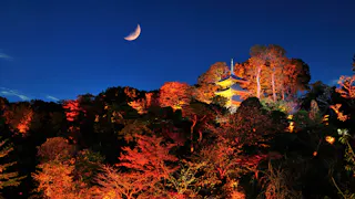 関東の紅葉が見える宿　5選
