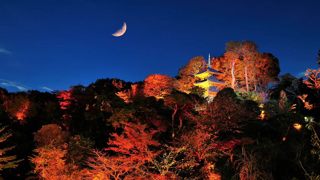 関東の紅葉が見える宿　5選