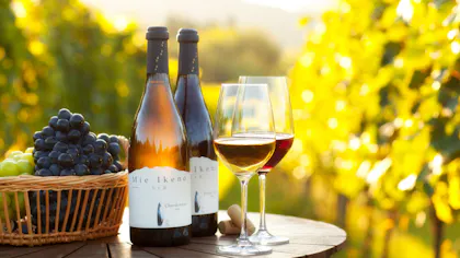 山梨のワインが楽しめる宿3選