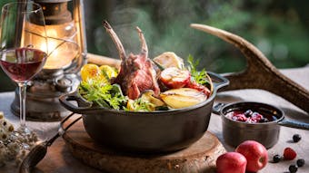 冬のお肉料理“ジビエ”を食す宿 5選