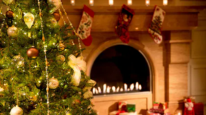 特別な夜に大切な家族と過ごしたい都内ホテル3選