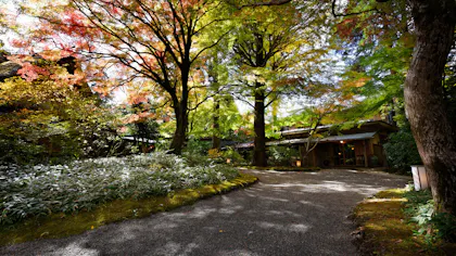 由布院の憧れ老舗宿で過ごす、至福のひととき