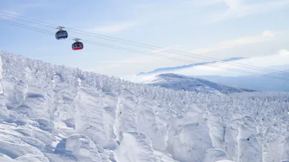 冬にしか見られない絶景に出会う旅　5選