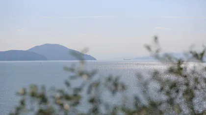 瀬戸内ならではの味覚ともてなしに癒される島時間