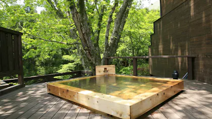 大自然と一体となってエネルギーチャージ