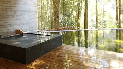 喧騒に疲れた心を優しく潤す箱根の隠れ宿