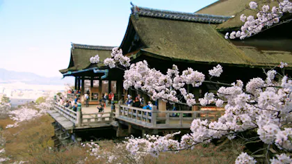 2018年「京都の桜」名所に近いおすすめ宿