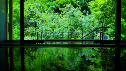 渓谷が魅せる四季の表情を間近に臨む信州の絶景宿