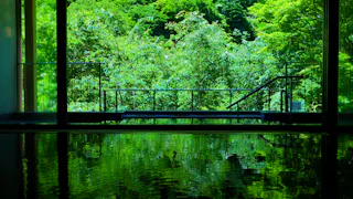 渓谷が魅せる四季の表情を間近に臨む信州の絶景宿