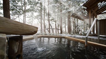 冬の贅沢、雪見風呂を愉しめる宿6選