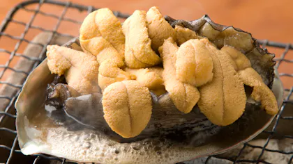 ここだけの“ごちそう”をいただける宿4選