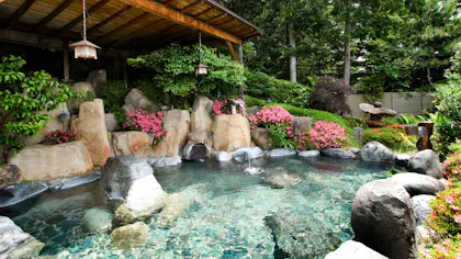 【有馬・草津・下呂】源泉掛け流しの温泉を楽しめる日本三名泉の宿