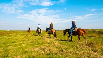 豊かな自然の中で乗馬体験ができる宿 5選