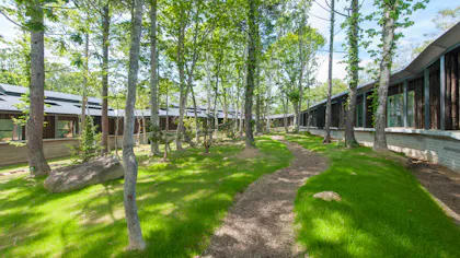 自然のパワーで心癒される初夏の北海道へ