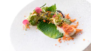 【滞在記】驚きが詰まった森のレストランで過ごすひととき