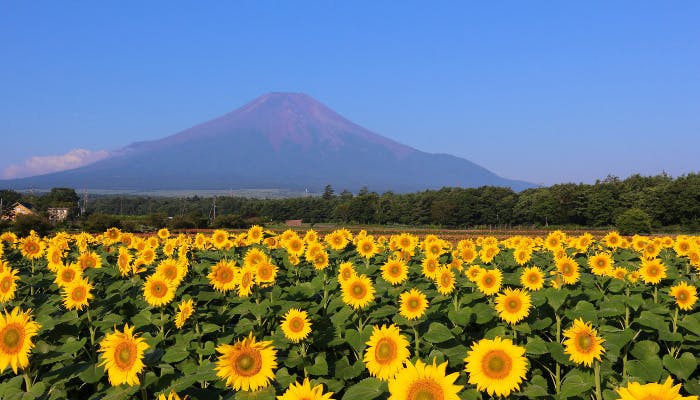 夏だけの絶景に出会う旅 6選 一休コンシェルジュ 夏だけの絶景に出会う旅 6選 一休コンシェルジュ