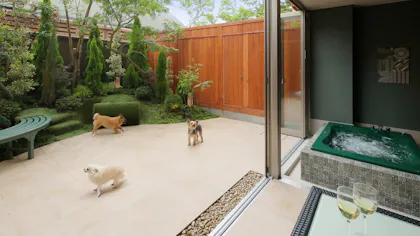 ペットと過ごせる露天風呂付客室がある宿4選