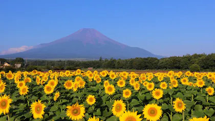 夏だけの絶景に出会う旅　6選