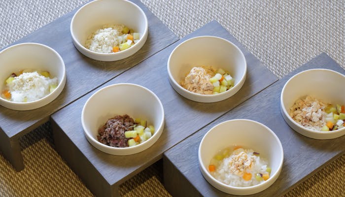 露天風呂付客室で部屋食を楽しめる宿 箱根 湯河原編 一休コンシェルジュ 露天風呂付客室で部屋食を楽しめる宿 箱根 湯河原編 一休コンシェルジュ