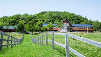 クチコミ高評価ランキング2018【北海道編】