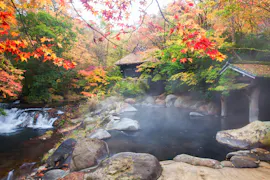 露天風呂から紅葉が見える宿（西日本編）