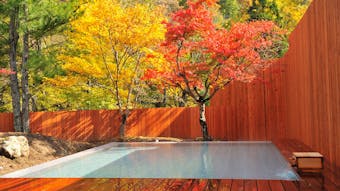 露天風呂から紅葉が見える宿特集